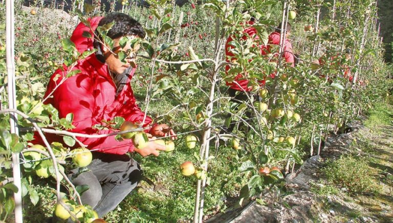 Nepal allows sending workers to Israel’s agriculture and caregiving sectors